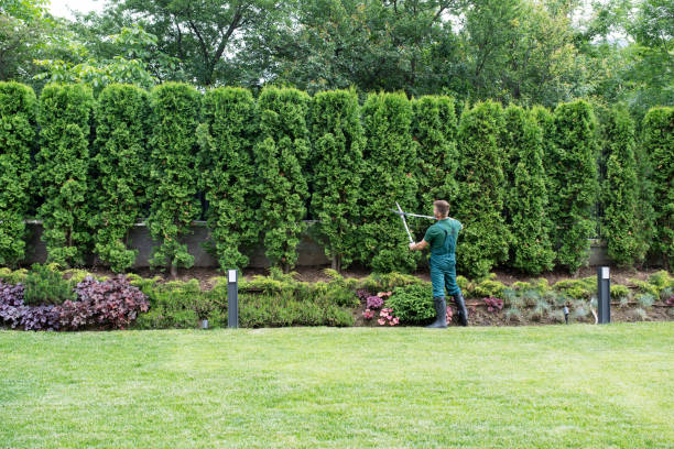 Artificial Turf Installation in Granby, MO